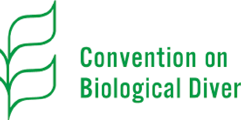 Convention on Biological Diversity Image