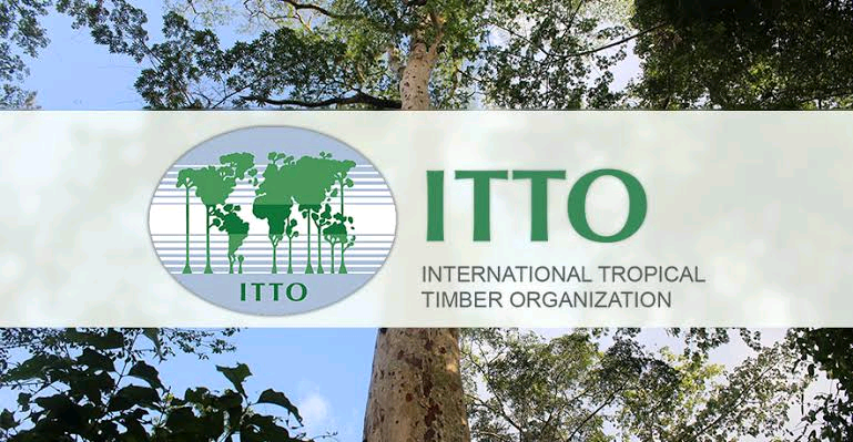 International Tropical Timber Agreement Image