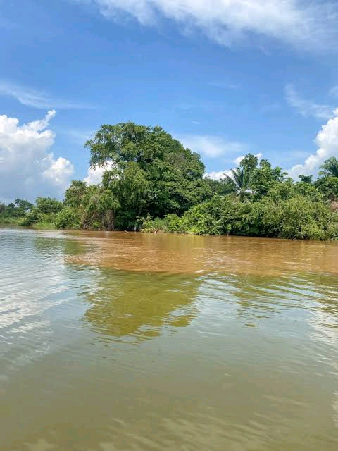 Oguta Lake Image