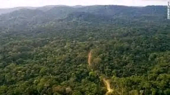 Sambisa Forest Image