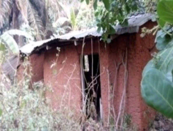 Ayegunle Gbede Image