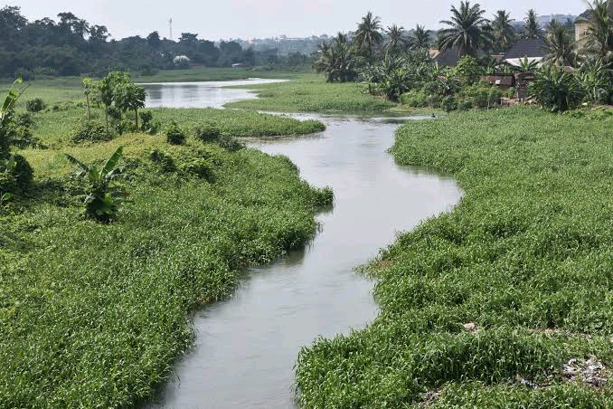 Aba River (Nigeria) Image