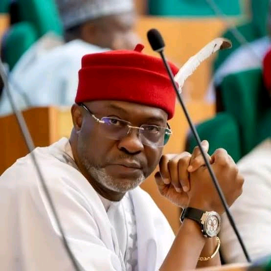 Isiala Ngwa North/Isiala Ngwa South federal constituency Image