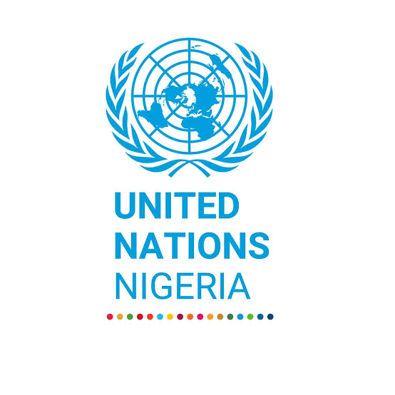 Nigeria and the United Nations Image