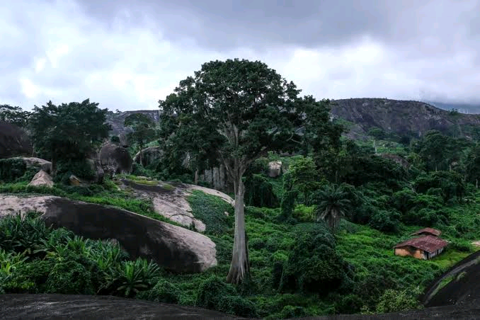 Tourism in Nigeria Image