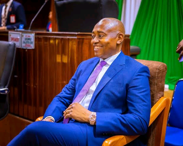 Ifeanyi Ossai (politician) Image