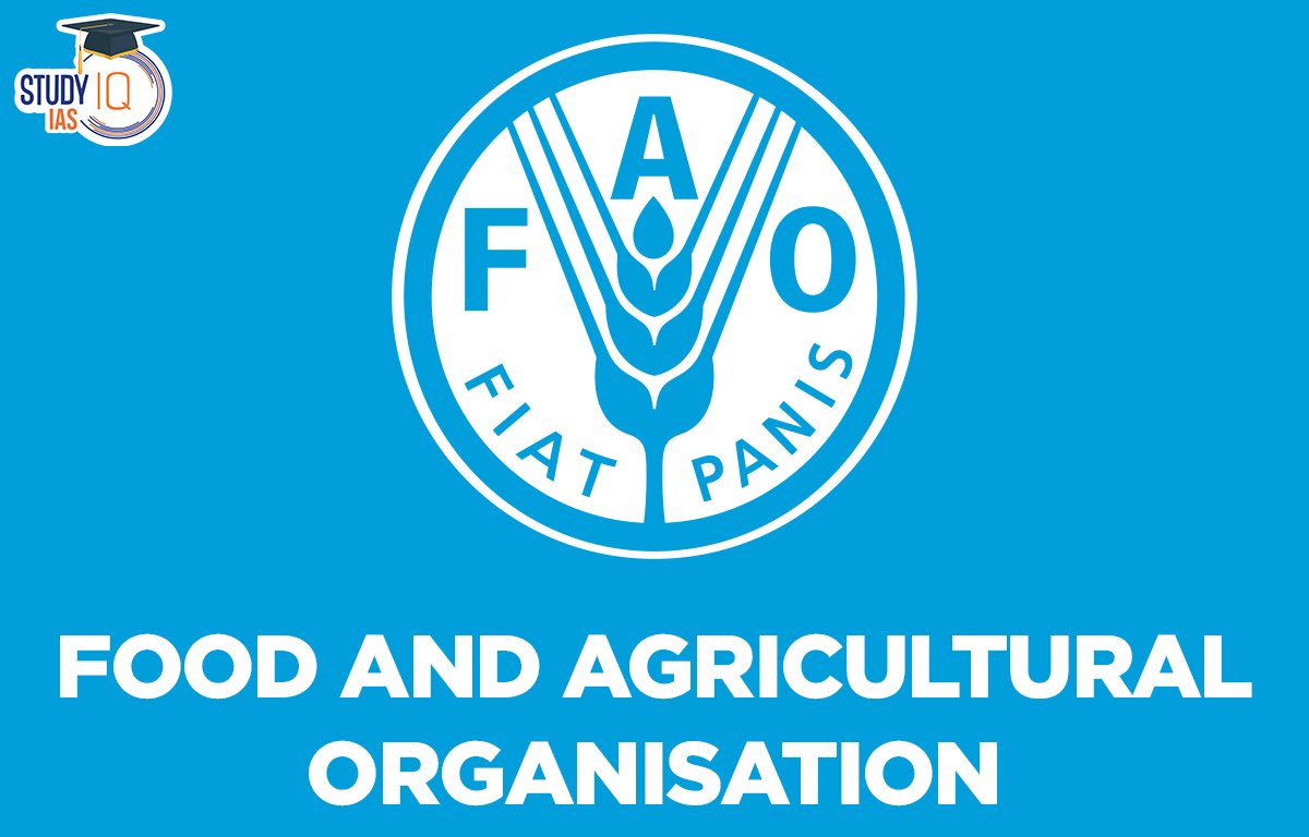 Food and Agriculture Organization Image