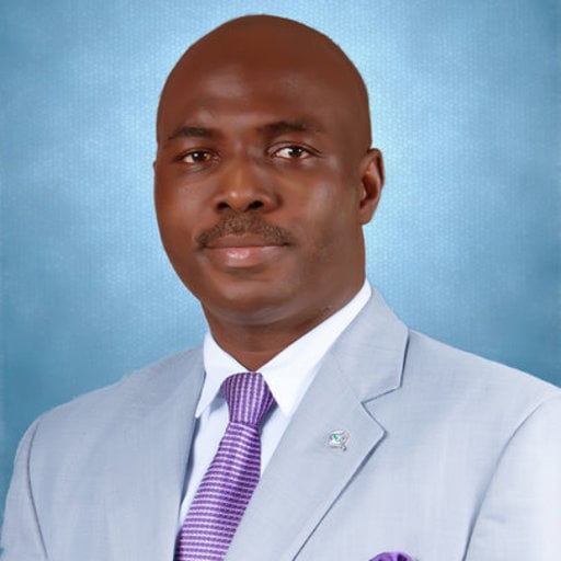 Aderemi Atayero Image