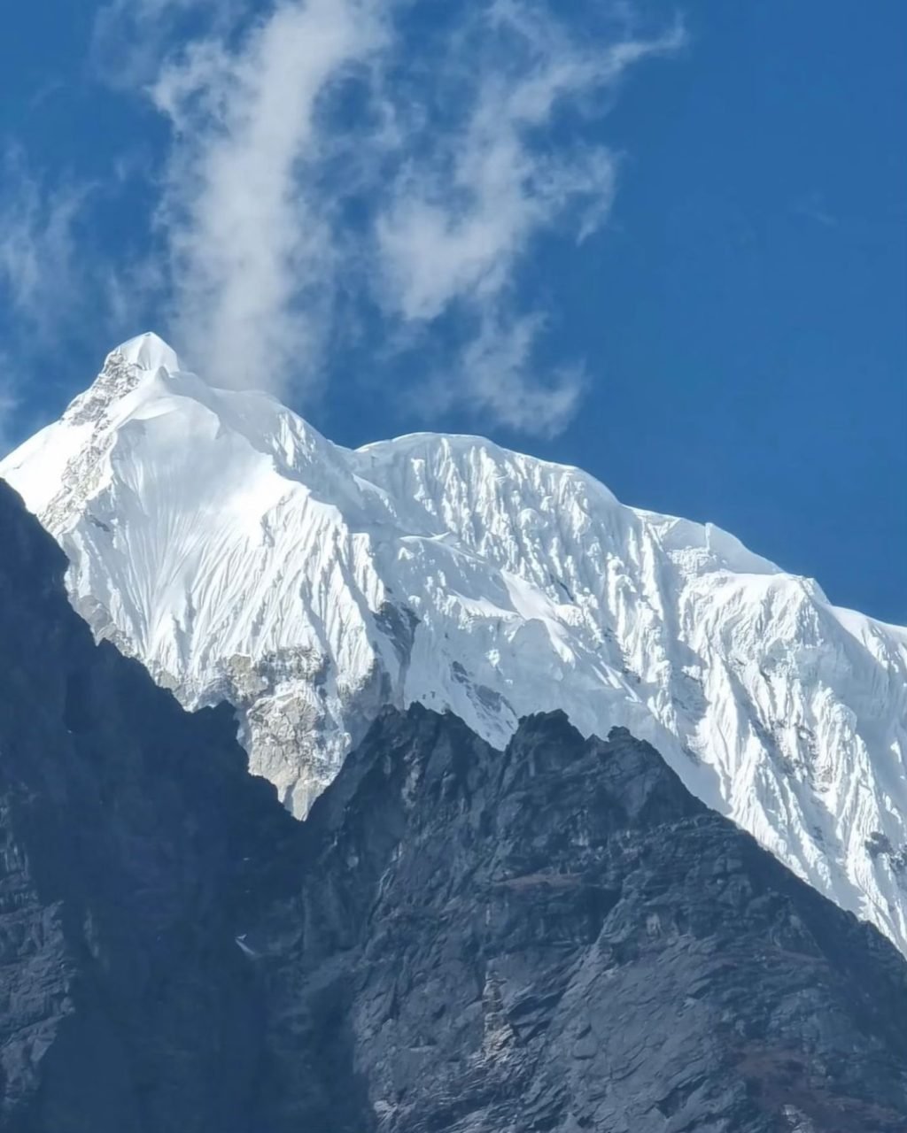 Langtang Mafia Image