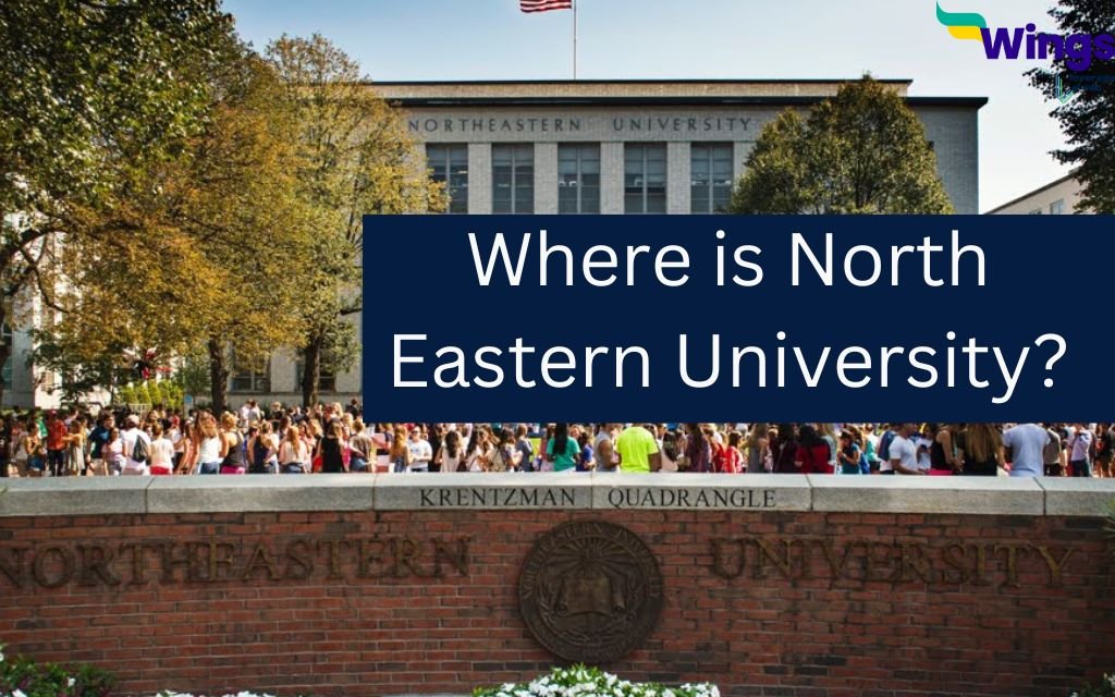 North-Eastern University, Gombe Image